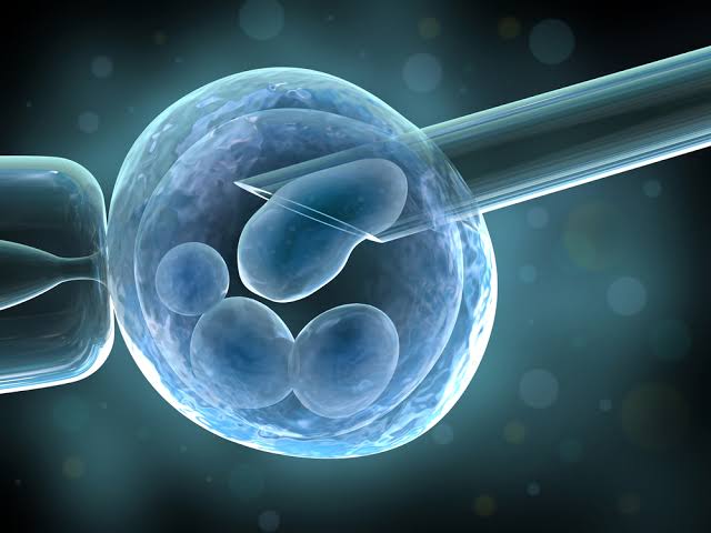 Assisted Embryo Hatching Treatment in Noida Specialist