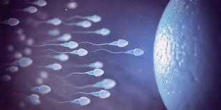Oligospermia Treatment at Anaya IVF & Fertility Care